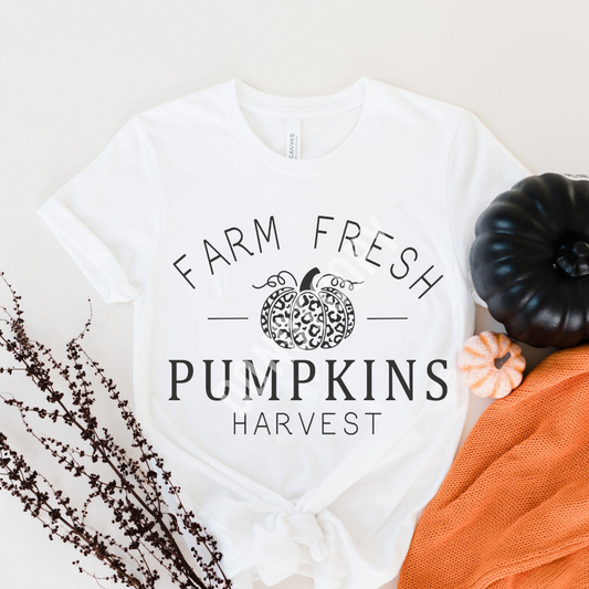 Farm Fresh Pumpkins
