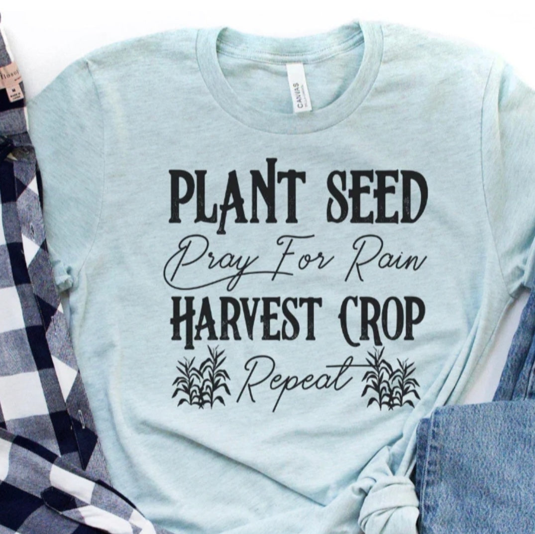 Plant Seed