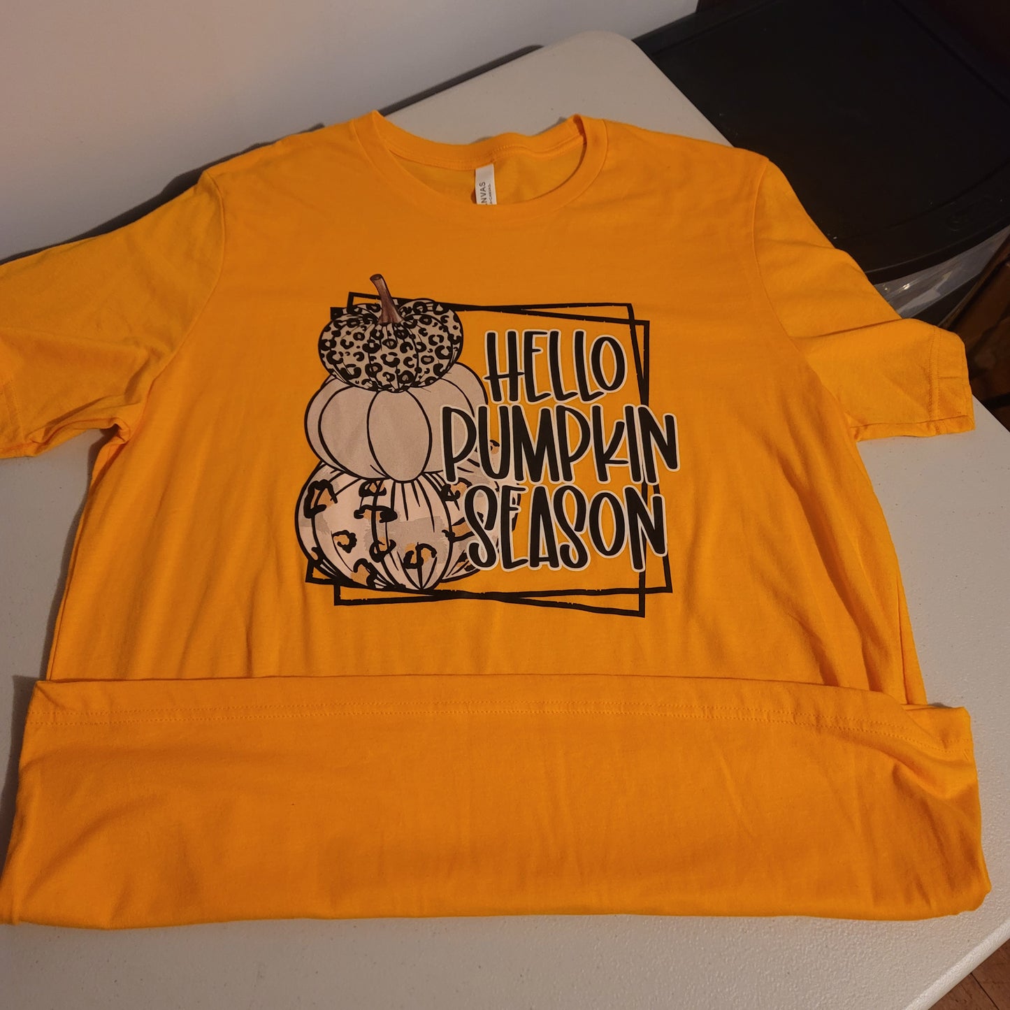 Hello Pumpkin Season Tshirt - XL